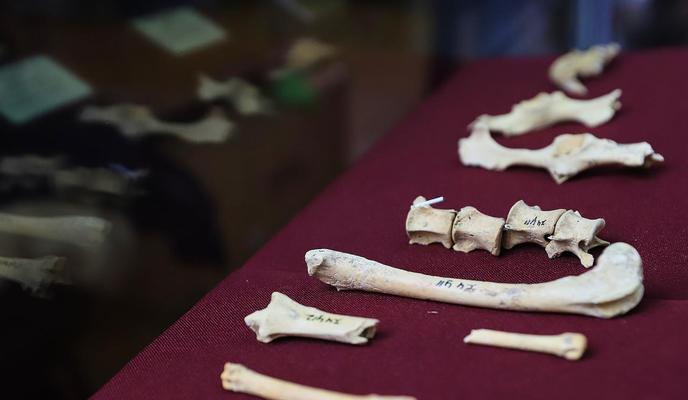 Bitrix 131078: e78bc157_4aa0_45c5_a1a2_836f2367705b.jpg