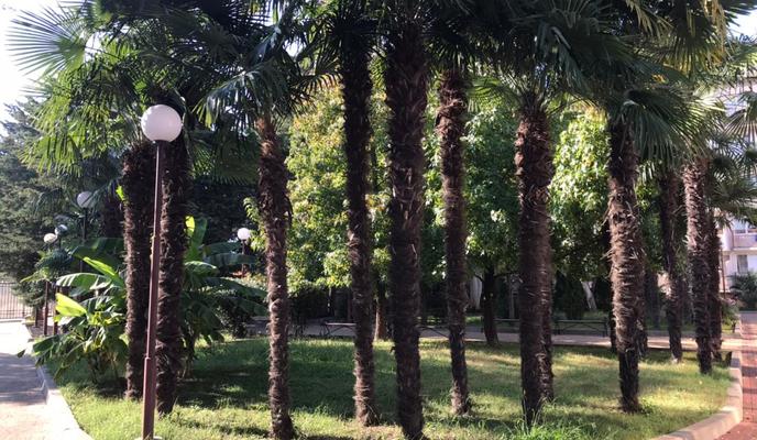 Bitrix 105514: e78c10dd_a87f_4633_b769_02cc98ecf4fc.jpg