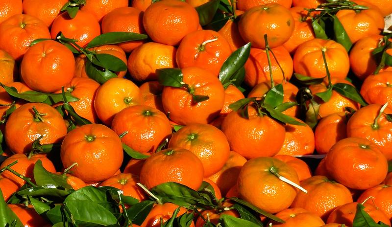 Bitrix 89234: eat_1603660_1280.jpg