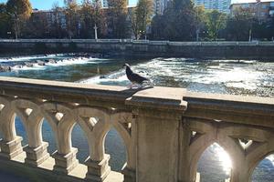 Bitrix 160852: ebe77e5a_09cc_4f30_8c4e_40d5db613fd7.jpg