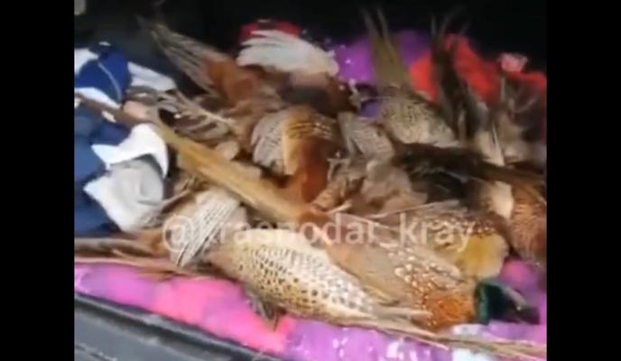 Bitrix 126250: ecBEkjeMtu7xYyyHCNnXYXWVzip_fPEz0IxWMFCTmrZdzDdytj0m0Ne_DyKmAhUnN5WtodYaWIwLG1gLrDnYVSPX.jpg