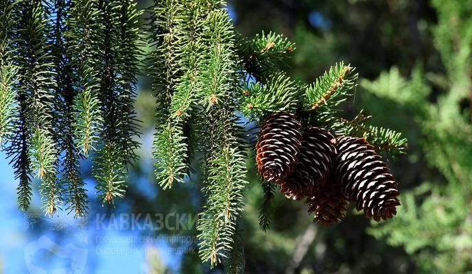 Bitrix 127961: el.jpeg