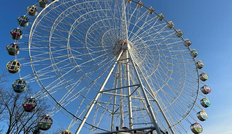 Bitrix 184902: f31239f6_ff3c_486f_91ff_8379c47f2a36.jpg