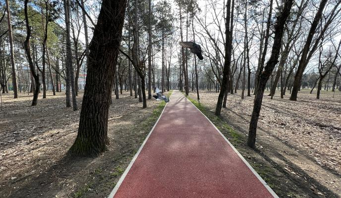 Bitrix 184874: f6b96ac2_a5e2_48db_97e8_72cb3683c646.jpg