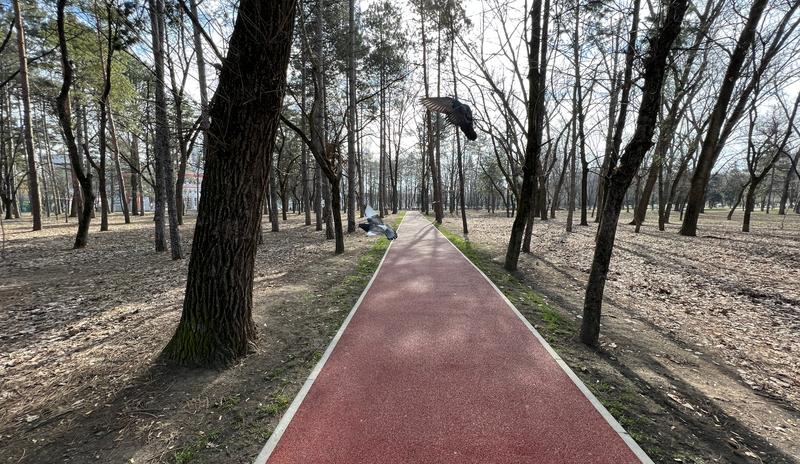 Bitrix 184874: f6b96ac2_a5e2_48db_97e8_72cb3683c646.jpg