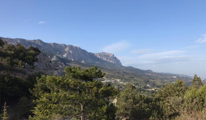 Bitrix 119340: f7123036_69e4_4e21_9bc5_e43e3b001208.jpeg