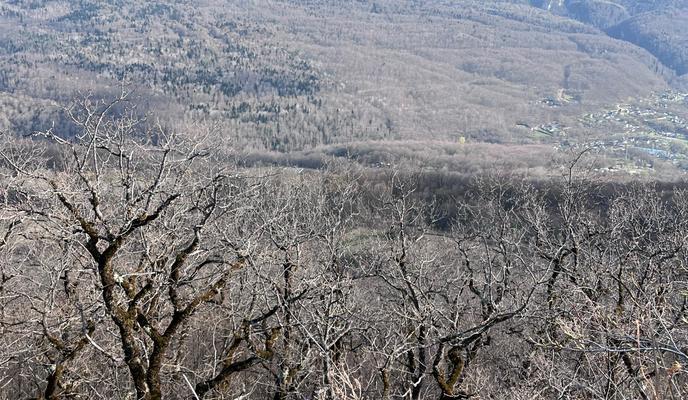 Bitrix 184753: f919904b_1be0_4556_bbc4_bf37340a7334.jpg