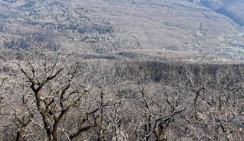 Bitrix 184753: f919904b_1be0_4556_bbc4_bf37340a7334.jpg