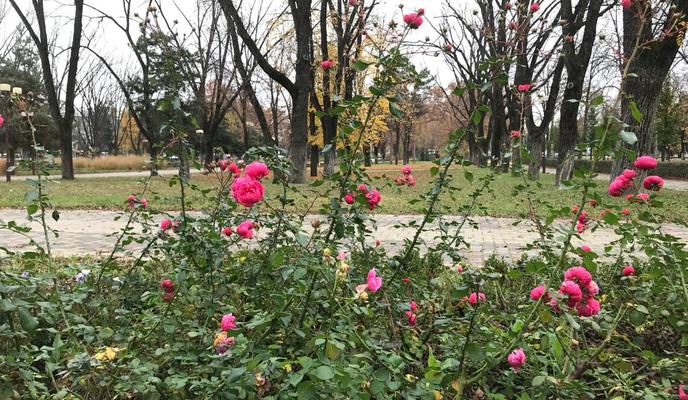 Bitrix 107991: fc36d375_a3fe_4826_9d88_b76334d00980.jpg