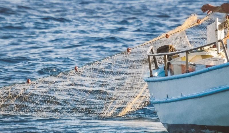 Bitrix 91762: fisherman_6003451_1920.jpg