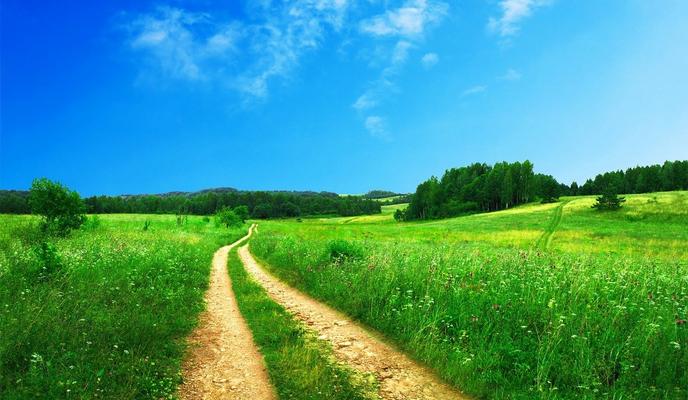 Bitrix 97826: footpath_691021_1280.jpg