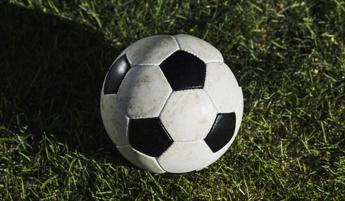 Bitrix 184535: from_ball_turf_grass.jpg