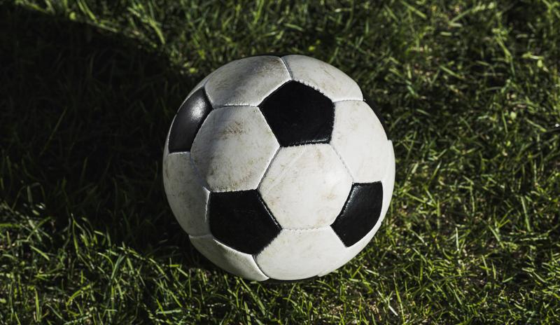 Bitrix 184535: from_ball_turf_grass.jpg