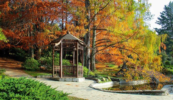 Bitrix 109340: gallery_6.jpg