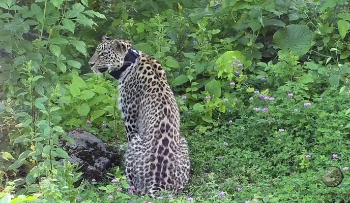 Bitrix 120562: gbU4fJ2yDkh6yPh2b6Vnhzs_eO4nZ6Hh1gj6wznSjLx72hSzG_x2V5r1tJnHABOmMyqcWAcul0Ohtg8PhThArlyC.jpg