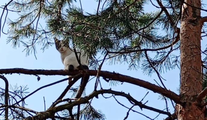 Bitrix 116592: gk_W_aZ8yos.jpg