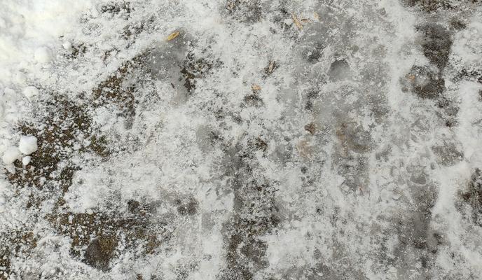 Bitrix 144649: gololed-led-sneg-zima4.jpg