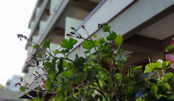 Bitrix 145894: gostinitsa-.jpg