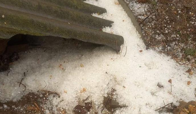 Bitrix 142054: grad.jpg