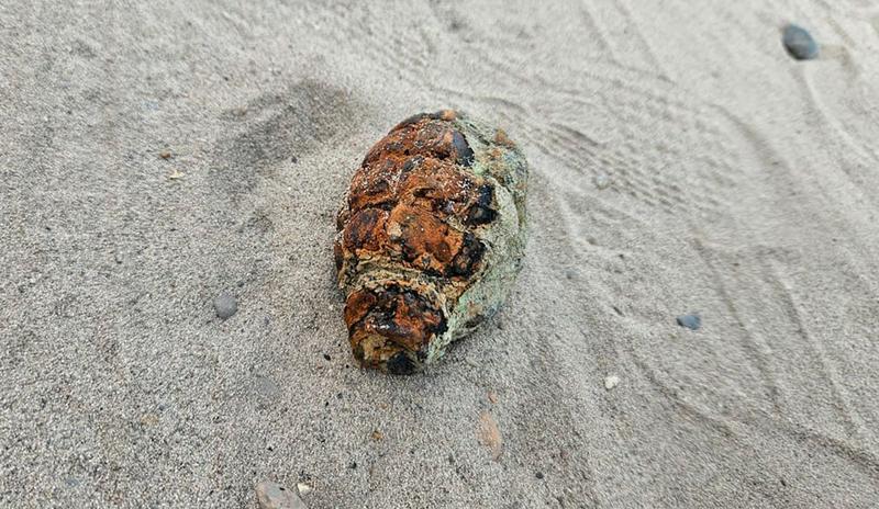 Bitrix 138225: granata.jpg