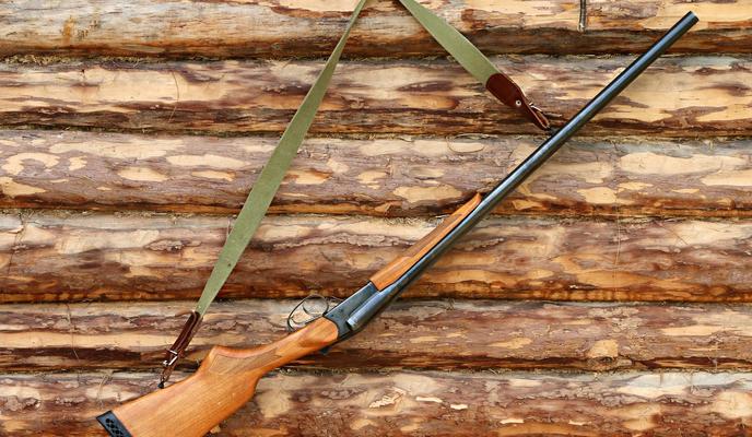 Bitrix 118334: gun_1503130_1920.jpg