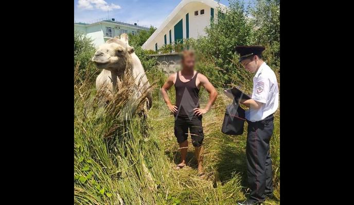 Bitrix 99280: gwVbhUc0zq4.jpg