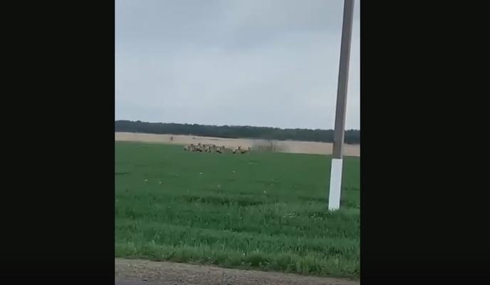 Bitrix 116994: h2NbA8rpqdBRwdJYIrrdfkGKGta1H5MGlBr0B0HfYvxmdGbJRYFYmJ9a7CnDQ_TzQhrAjtaR3192GcOPunh8h07R.jpg