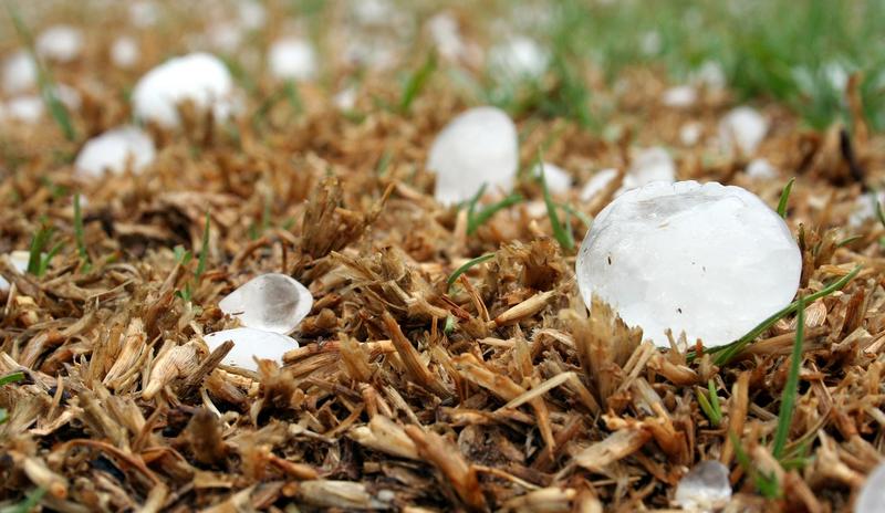 Bitrix 157142: hailstone_1614239_1280.jpg