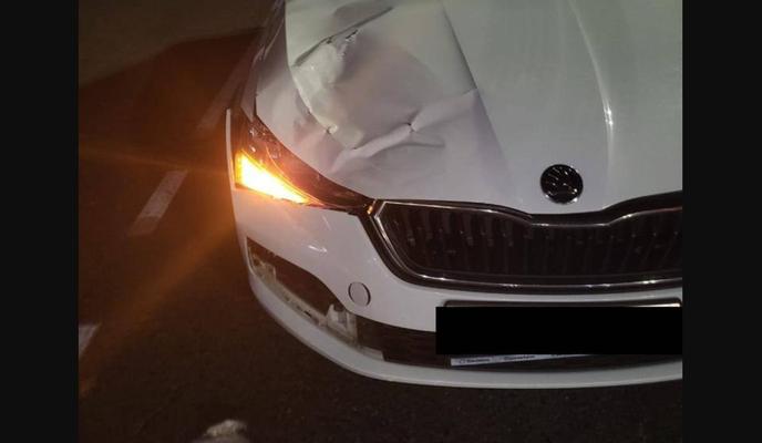 Bitrix 141411: hfAbnXyX7Ic-_1_.jpg