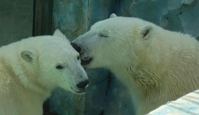 Bitrix 117351: iKB0q9aTeeK71ewFPmvX_2eSTpx5fRrIJgmDV_h0TwF5Xl_Ov7WiEBwmX6kqqUAjyr9OtZPJllHkrZjLnzunxQfi.jpg