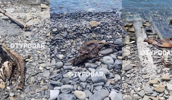 Bitrix 119506: iSVKKTcIWj4vhHwYla_UvmnXjmnj8tX3lbH71qSJBo_FJ1FCEXpPXcI6_ranLWJ2d0ruojIqWfdsyfiAattmKSPE.jpg