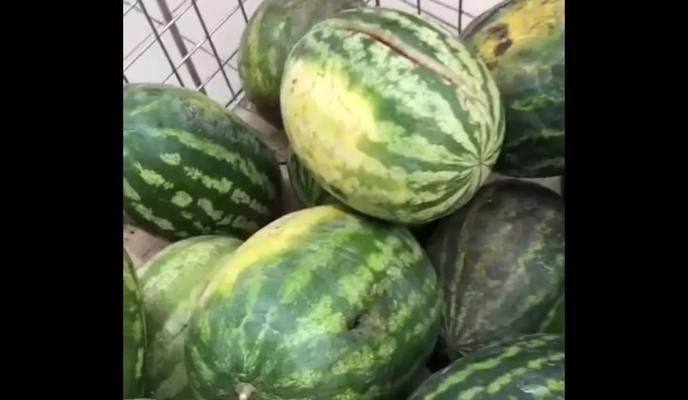 Bitrix 103614: i_H1E_W2spE.jpg