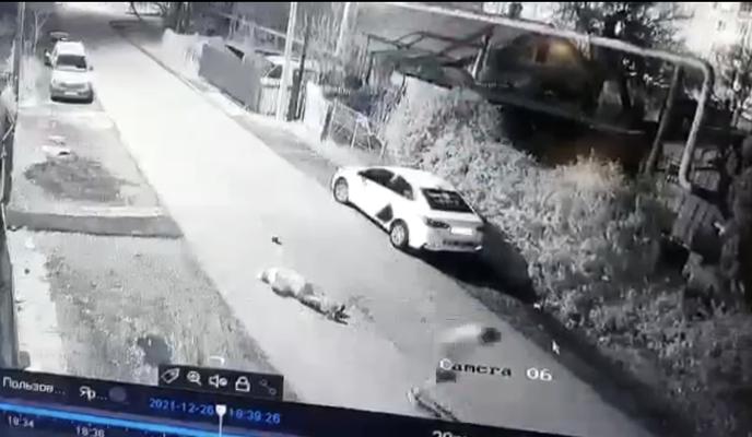 Bitrix 120349: image_07_07_22_05_57.jpeg