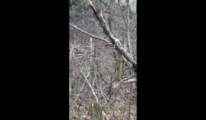 Bitrix 115999: image_2022_04_05_14_58_27.png