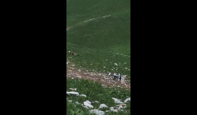 Bitrix 136077: image_2023_07_02_14_44_04.png