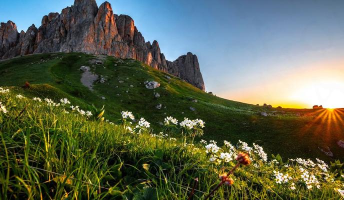 Bitrix 97099: img.jpeg