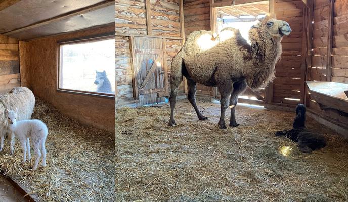 Bitrix 128670: imgonline_com_ua_2to1_2NBdQoKRqod5C7o.jpg