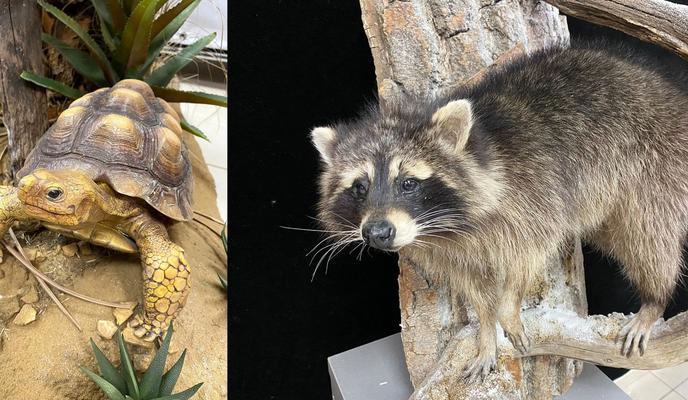 Bitrix 105125: imgonline_com_ua_2to1_a5cWBt1k14EWuz.jpg