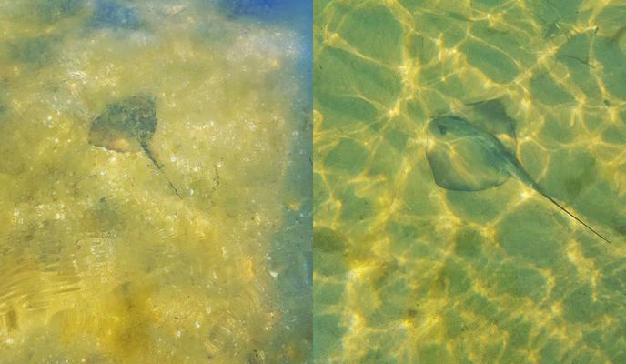 Bitrix 121415: imgonline_com_ua_2to1_XejWXPVHRyq-_1_.jpg