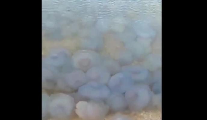 Bitrix 105225: izobrazhenie_2021_10_08_173041.png