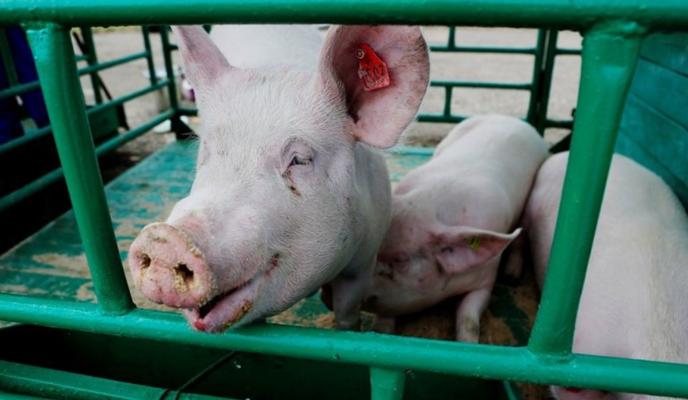 Bitrix 105682: izobrazhenie_2021_10_16_095507.png