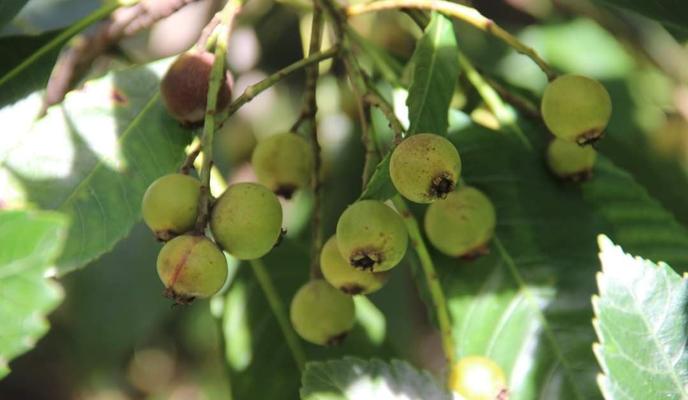 Bitrix 106063: izobrazhenie_2021_10_22_165406.png