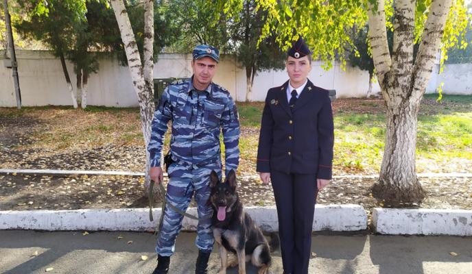 Bitrix 106628: izobrazhenie_2021_11_01_105756.png