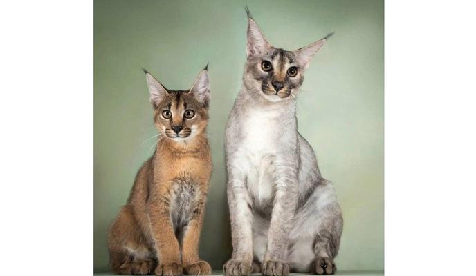 Bitrix 107619: izobrazhenie_2021_11_17_095105.png