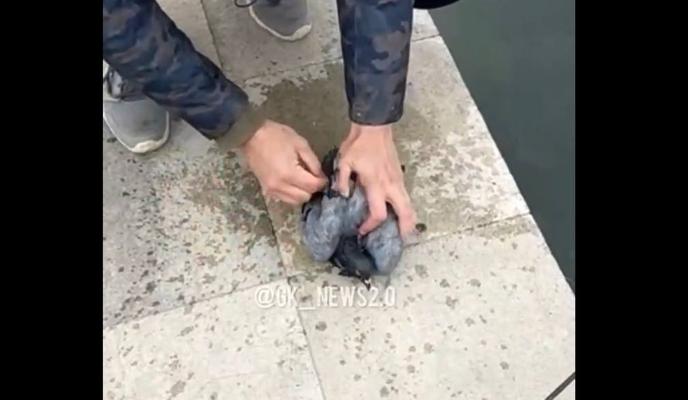 Bitrix 107317: izobrazhenie_2021_11_12_104209.png