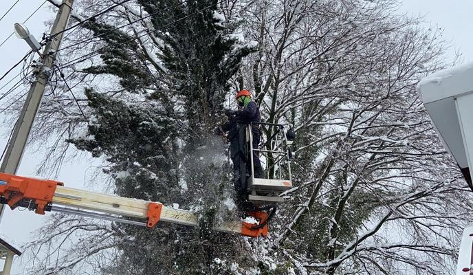 Bitrix 107185: izobrazhenie_2021_11_10_105709.png