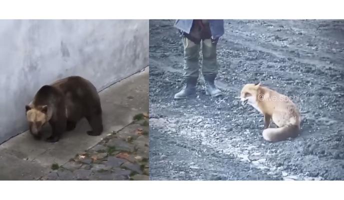 Bitrix 107447: izobrazhenie_2021_11_15_122431.png