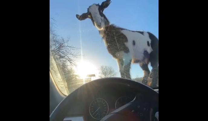 Bitrix 108191: izobrazhenie_2021_11_25_100102.png