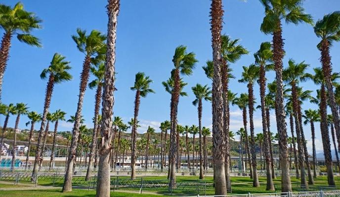 Bitrix 108479: izobrazhenie_2021_11_29_104302.png