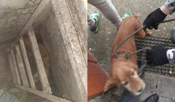 Bitrix 108018: izobrazhenie_2021_11_23_103952.png